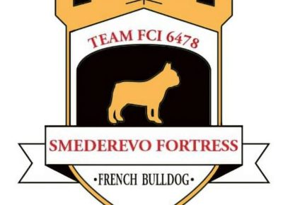 viberimage202511251826137821024x9551765026987