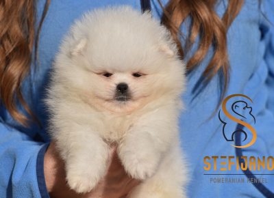 viberimage202511291319341461764703866