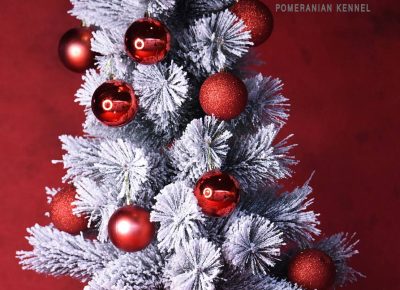 viberimage202511291319341471764703867