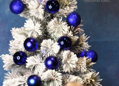 viberimage202511291319341481764703867