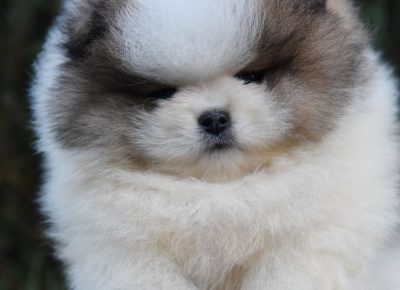 viberimage202511291319341491764703866