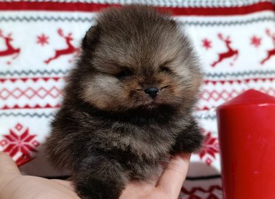 viberimage202512151543530621766011609