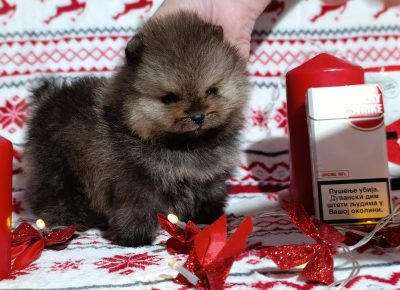 viberimage202512151543542681766011608