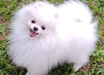 viberimage202512151543546741766011607