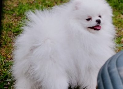 viberimage202512151543550661766011610