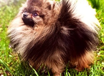 viberimage202512151543554551766011608