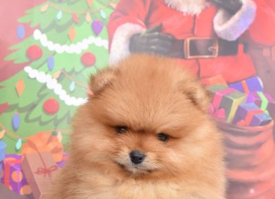 viberimage202512152050072801765917201