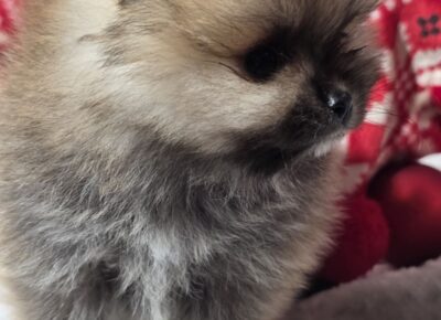 viberimage202601022116054001767645510