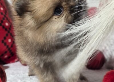 viberimage202601022116056991767645512