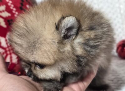 viberimage202601022116058121767645511