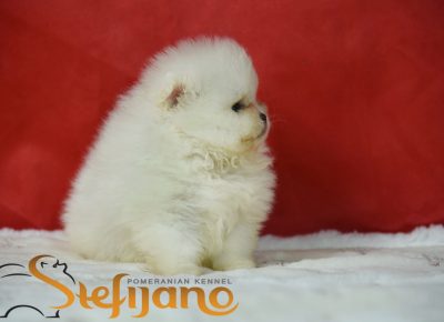 viberimage202602270955498131772230792