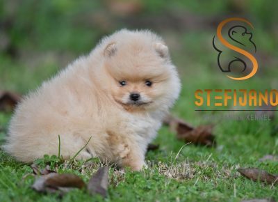 viberimage202602270956373291772230796