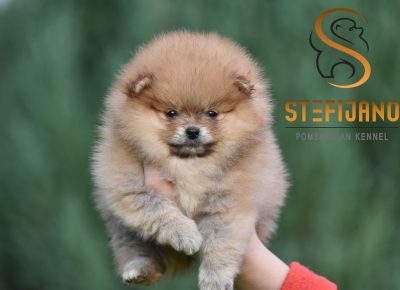 viberimage202602270957260281772230800