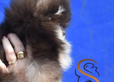 viberimage202602270958241941772230799