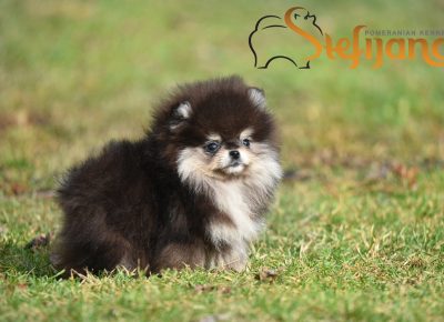 viberimage202602270958357601772230800