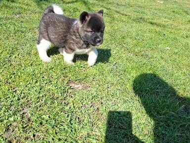 0526f1c33f664dbdac411f61cd58834a1773354511