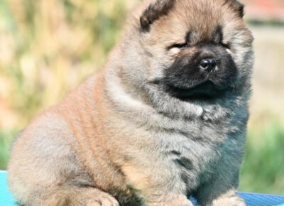 146df08f9a5642bda6f079802896aa861774030114