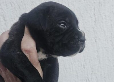 1f163afd208c4110a81f946c4b084c4e1773349685