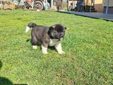 52d9e6f3166940418fe85e9149c16d461773354510