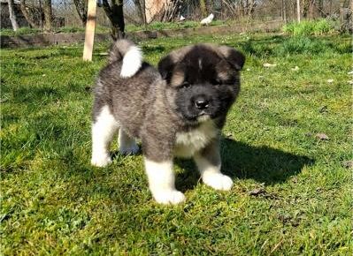 8a0f846f77514b62bb524911e1821f171773354512