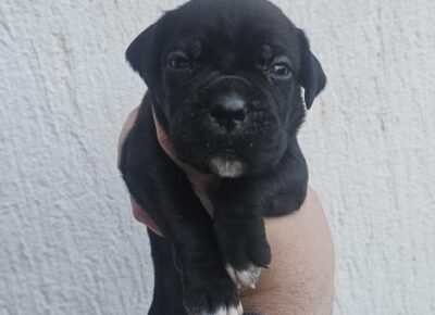 94d41ef2478a48c984620471b1c43a1c1773349688