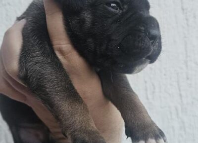 9f65d18514ad4d7ebe98d94cc40dcbee1773349690