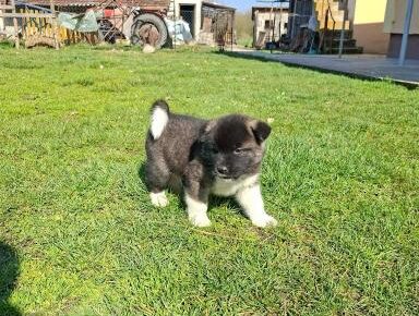 a154632956be4e35a9940455cb30fbba1773354514