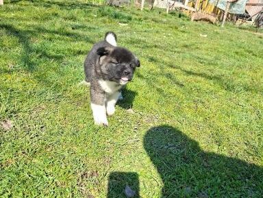 abf7d443eb944d0b8b9b65f52cb1b8461773354513