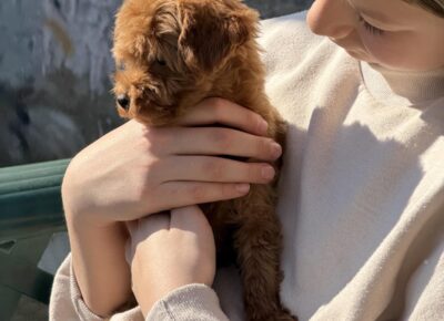 aviberimage202603101917311261773504822