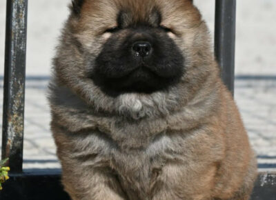 b02b910558e54666ba1a24133b77d8e51774030107