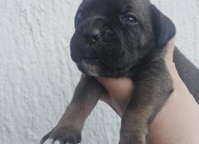 d80d82e6e93f412db203666f3ac78def1773349687