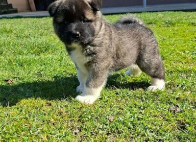 d909fa855b3b4f81af16c62615954a2b1773354513