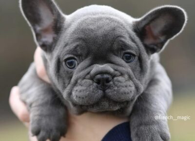 viberimage202601081746143711024x96911111774044509