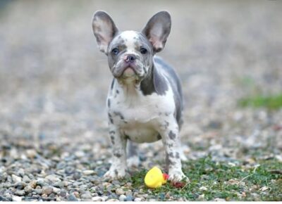 viberimage202601081748507211024x67311111774044508