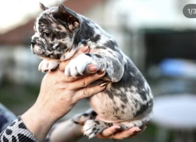 viberimage202601081748518411024x65511111774044509