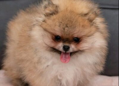 viberimage20260220113441442728x102411774298140