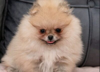 viberimage20260220113441559845x102411774298146