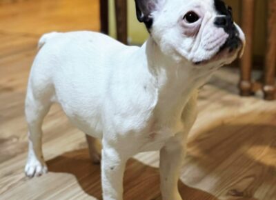 viberimage202602271818571921773520162