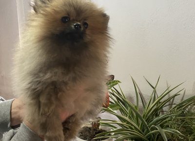 viberimage202602281757133781772406023