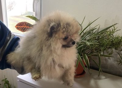 viberimage202602281757136421772406022