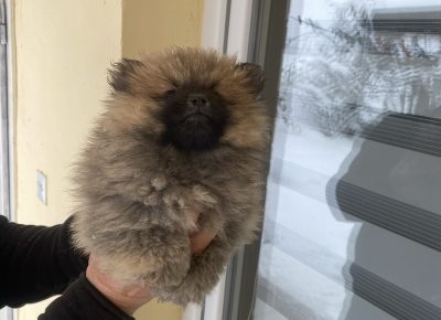 viberimage202602281757142261772406024