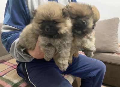 viberimage202602281757147771772406024