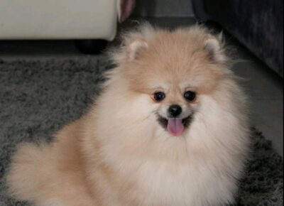 viberimage202602281948594541772746926