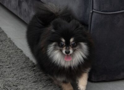 viberimage202602281948595391772746927