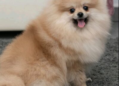 viberimage202602281948595791772746927