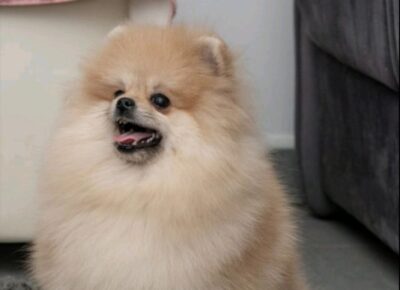 viberimage202602281948596171772746926