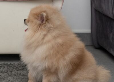 viberimage202602281948596511772746928