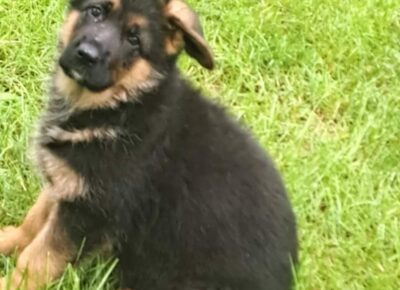 viberimage202603031858125751772830646