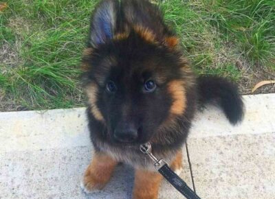 viberimage202603031859364171024x10201774798486