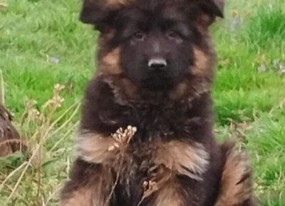 viberimage20260303185949497650x10241774798483